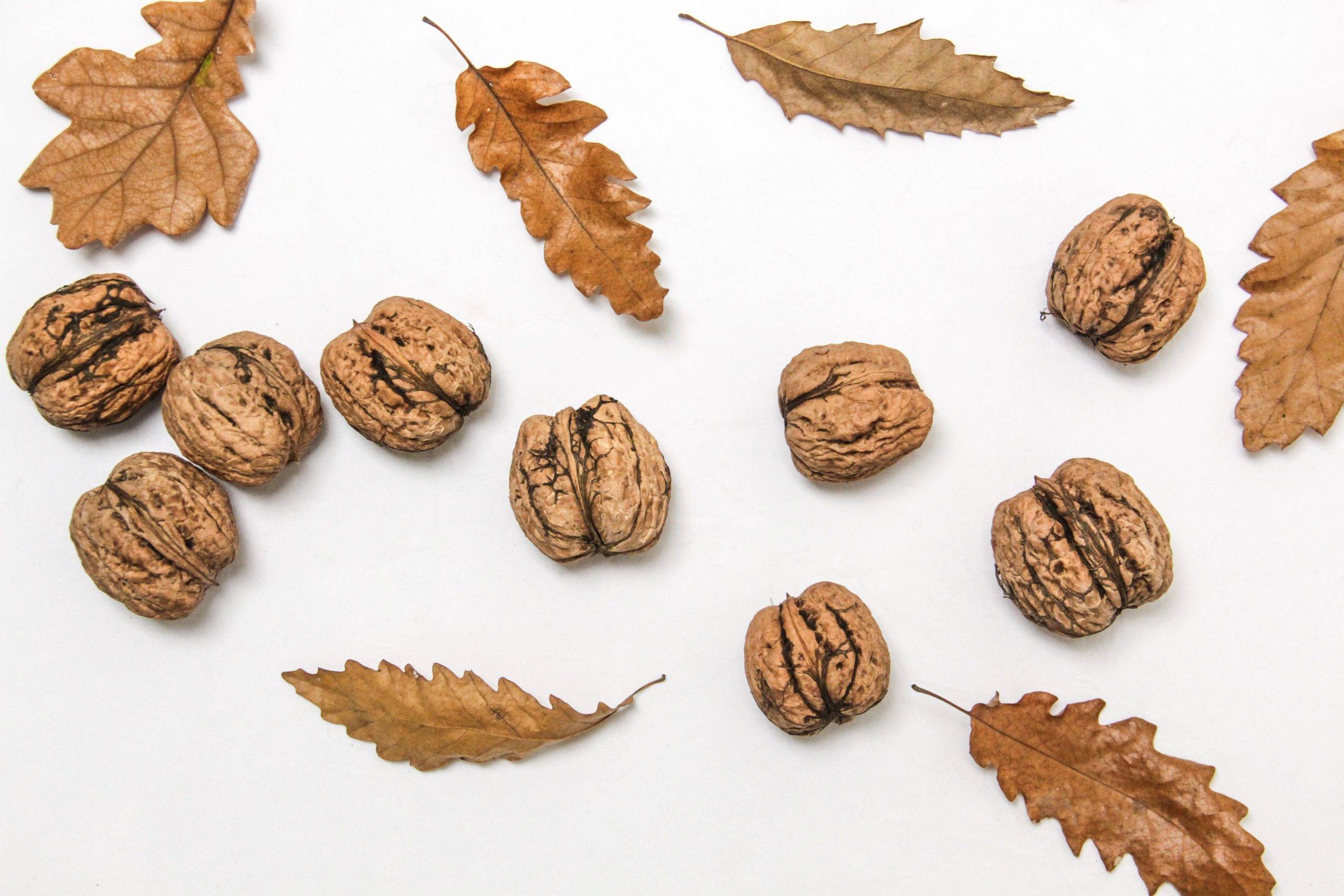 अखरोट खाने के फायदे- Benefits of Walnuts in Hindi।akhort khane ke fayde