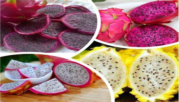  कैसे खाएं पिताया फल - How To Eat Dargon Fruit In Hindi