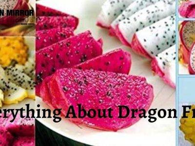 dragon fruits benefits and side effects
