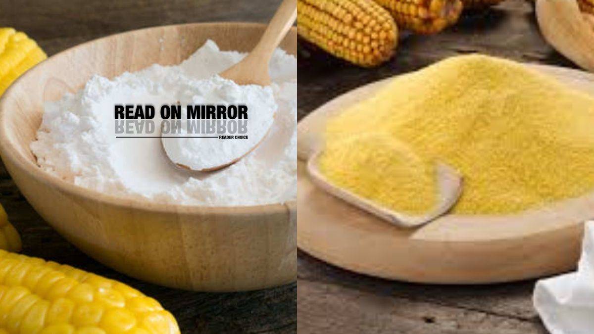 कॉर्न फ्लोर और मक्के के आटे में फर्क - What is The Difference Between CornFlour and  Cornmeal Flour in Hindi