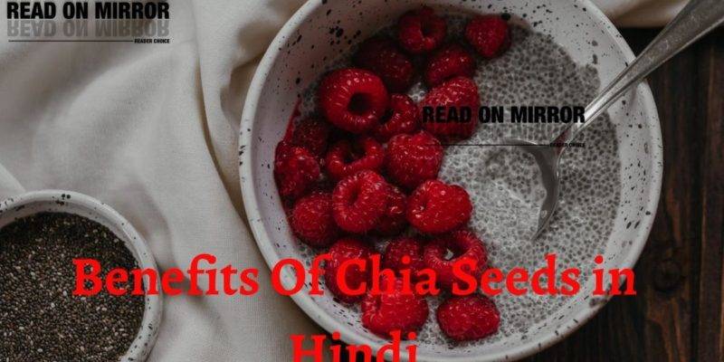 चिया बीज के फायदे नुकसान और उपयोग। Side Effects and Benefits of Chia Seeds (तुकमलंगा) in Hindi