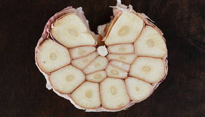 लहसुन खाने के फायदे - Benefits of Garlic (Lahsun) in Hindi