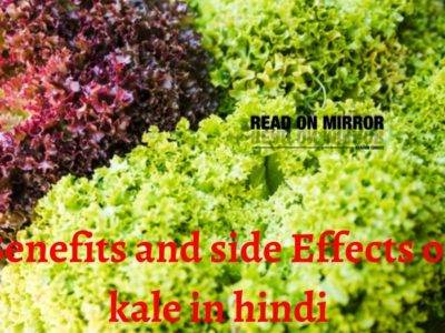 केल (Kale) के 16 फायदे और नुकसान। Side Effects and Benefits of Kale in Hindi