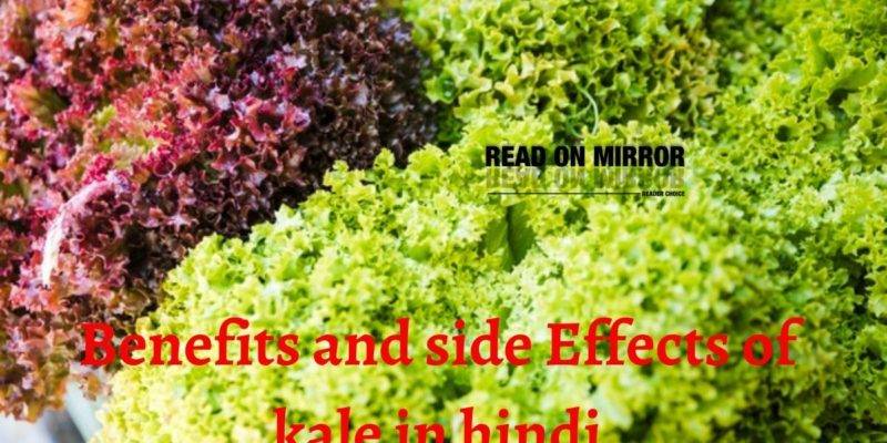 केल (Kale) के 16 फायदे और नुकसान। Side Effects and Benefits of Kale in Hindi
