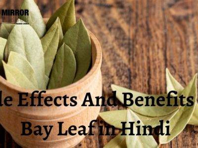 तेज पत्ता के 30 फायदे, नुकसान और उपयोग। Side Effects, Uses and Benefits of Bay Leaf (Leaves) in Hindi