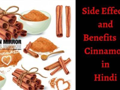 दालचीनी के 16 फायदे,नुकसान और औषधीय उपयोग। Side Effects and Benefits of Cinnamon in Hindi