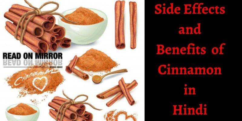 दालचीनी के 16 फायदे,नुकसान और औषधीय उपयोग। Side Effects and Benefits of Cinnamon in Hindi