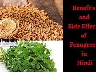 Methi खाने के 21 फायदे, नुकसान और उपयोग जानिए। Information of (मेथी) Fenugreek in Hindi