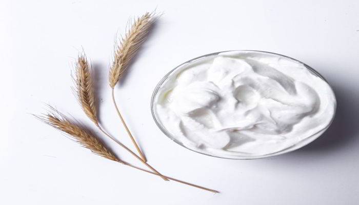 योगर्ट के फायदे - Benefits of Yogurt in Hindi