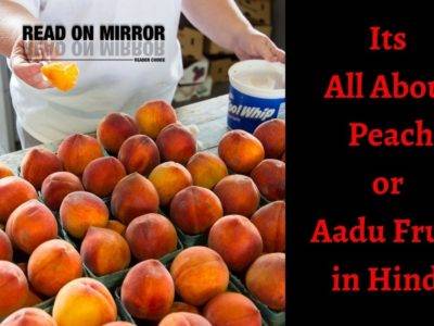 आड़ू फल के 21 फायदे नुकसान और उपयोग। Info Peach Fruit in Hindi। (Aadu Fruit)