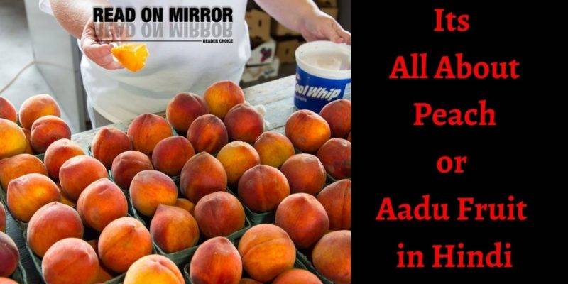 आड़ू फल के 21 फायदे नुकसान और उपयोग। Info Peach Fruit in Hindi। (Aadu Fruit)