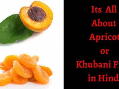 Apricot क्या है? खुबानी के 23 फायदे, नुकसान उपयोग। Apricot in Hindi। Khumani Fruit