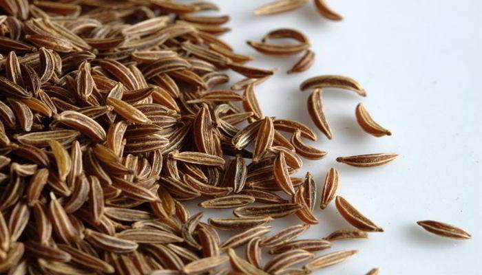 जीरे के उपयोग और पोषक तत्व - Uses and Nutrients of Cumin Seeds in Hindi