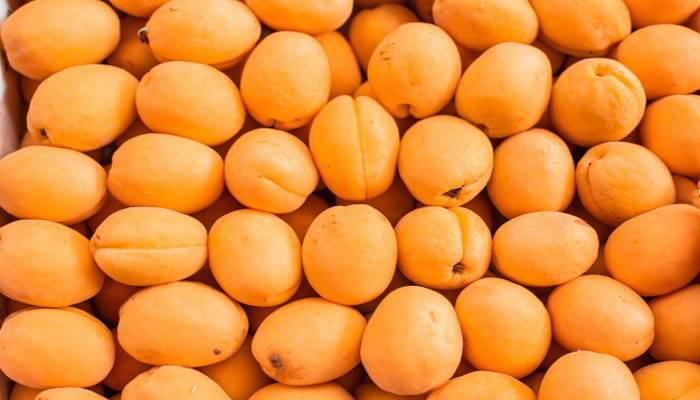 Khubani Fruit के नुकसान - Apricot Side Effects in Hindi