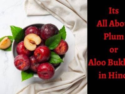 आलूबुखारा खाने के 16 फायदे नुकसान। Information of Prunes or Plum in Hindi