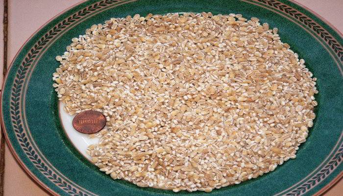 जौ के कुछ अन्य लाभ - Few More Barley Benefits in Hindi