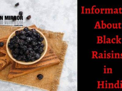 Black Raisins क्या है? काली किशमिश के 20 फायदे नुकसान और उपयोग।