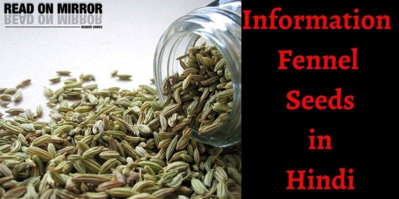 सौंफ खाने के 24 फायदे नुकसान और उपयोग। About Fennel Seeds in Hindi