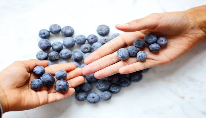 ब्लूबेरी कितने प्रकार की होती है। Type Of Blue Berry in Hindi