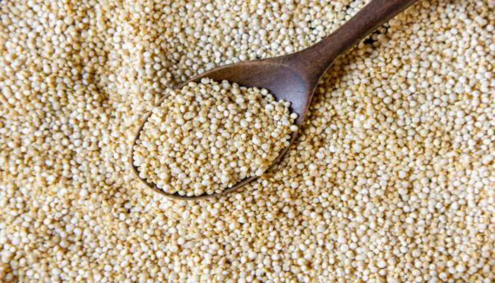 क्या है क्विनोआ। What is Quinoa in Hindi 