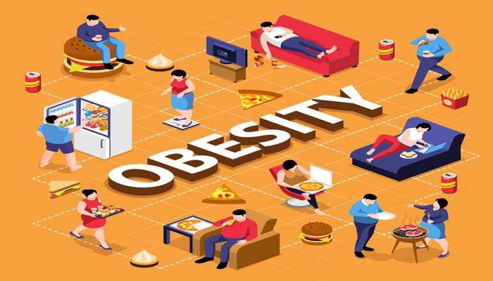 क्या है मोटापा - What is Meaning of Obesity in Hindi 