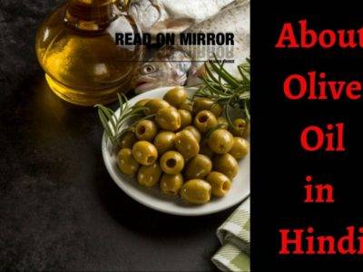 Olive Oil क्या है? जैतून के तेल के 27 फायदे नुकसान और उपयोग। About Olive oil In Hindi