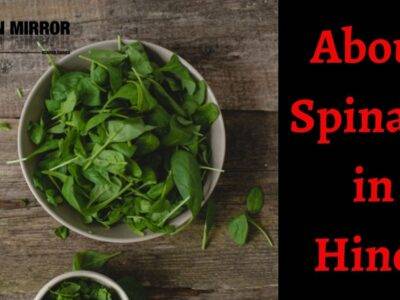 क्या है पालक के 35 फायदे और नुकसान जानिए। Spinach Meaning in Hindi