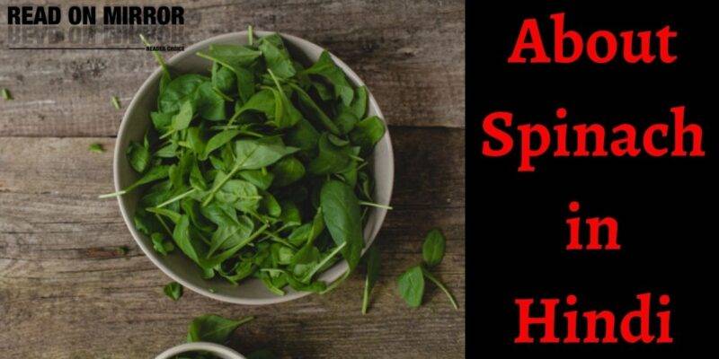 क्या है पालक के 35 फायदे और नुकसान जानिए। Spinach Meaning in Hindi