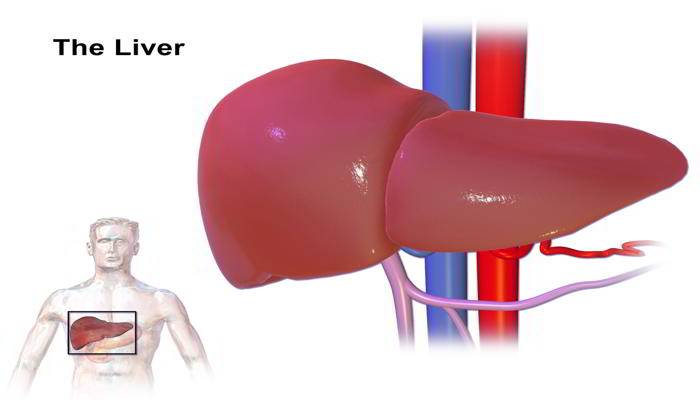लिवर रोग का परीक्षण - Diagnosis of Liver Disease in Hindi 