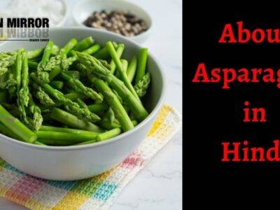 शतावरी क्या है? Shatavari के 24 फायदे, नुकसान और उपयोग। Asparagus Meaning in Hindi