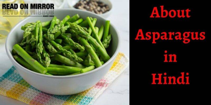 शतावरी क्या है? Shatavari के 24 फायदे, नुकसान और उपयोग। Asparagus Meaning in Hindi