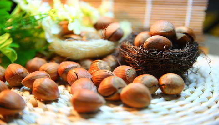 क्या है हेजलनट्स - What is Meaning of Hazelnuts in Hindi