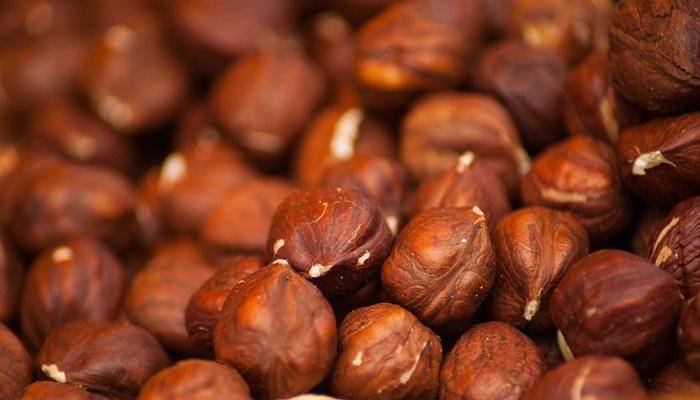 हेजलनट्स खाने के फायदे - Benefits of Hazelnuts In Hindi 