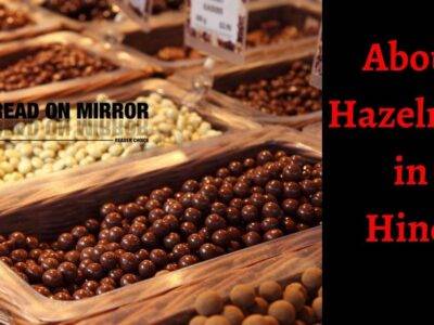 Hazelnuts क्या है? हेजलनट्स के 16 फायेद और नुकसान। Meaning of Hazelnuts in Hindi