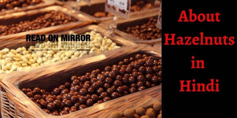 Hazelnuts क्या है? हेजलनट्स के 16 फायेद और नुकसान। Meaning of Hazelnuts in Hindi