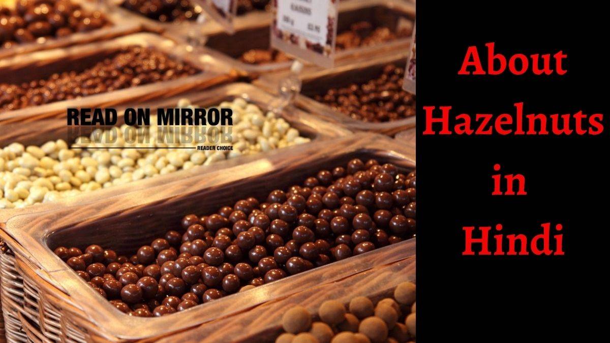 Meaning of Hazelnuts in Hindi। Hazelnuts क्या है? हेजलनट्स के 16 फायेद