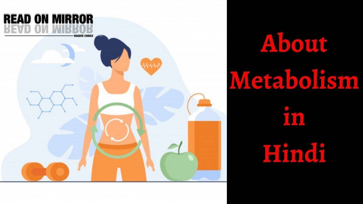 metabolism-meaning-in-hindi