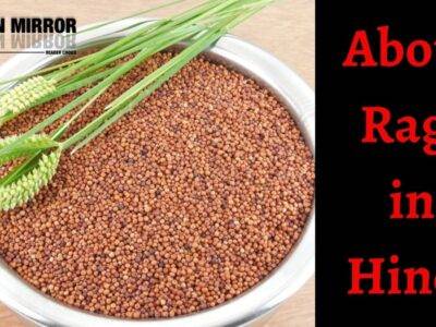 Ragi क्या है? के 16 बेमिसाल फायदे। Ragi Meaning in Hindi। Finger Millet