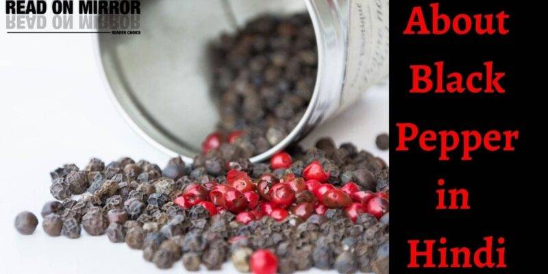 काली मिर्च के 19 फायदे और नुकसान। About Black Pepper in Hindi