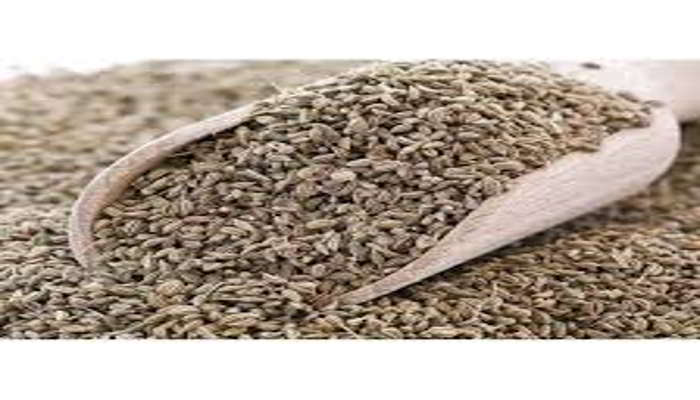 अजवाइन के इस्तेमाल करने के तरीके - Uses of Carom Seeds in Hindi 