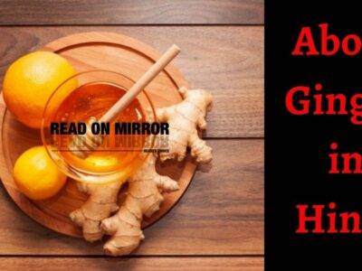 Adrak के 19 फायदे, नुकसान और उपयोग। About Ginger in Hindi