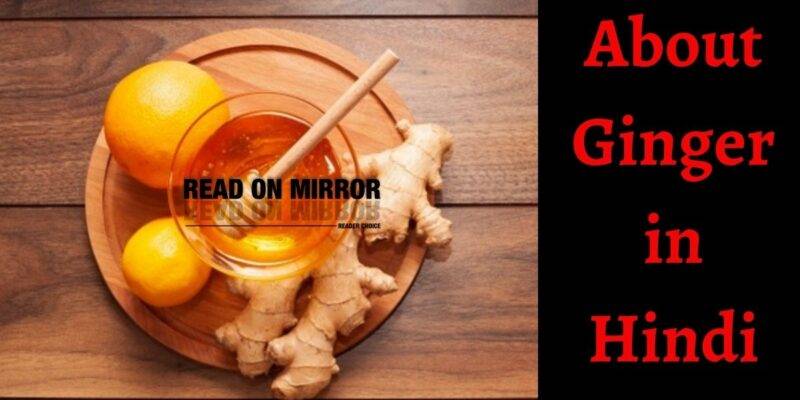 Adrak के 19 फायदे, नुकसान और उपयोग। About Ginger in Hindi