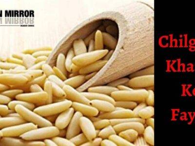 चिलगोजा खाने के फायदे और नुकसान। Pine Nuts Means in Hindi (Chilgoza)