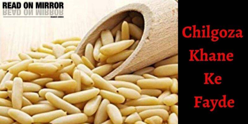 चिलगोजा खाने के फायदे और नुकसान। Pine Nuts Means in Hindi (Chilgoza)