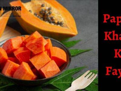 Papita खाने के 26 फायदे, नुकसान और उपयोग। About Papaya in Hindi