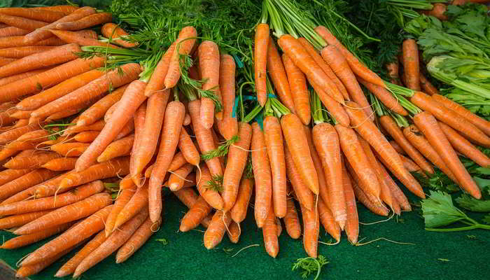गाजर के फायदे - Benefits of Carrot in Hindi 