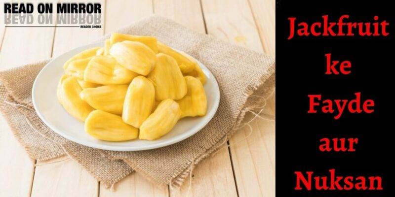 कटहल के फायदे और नुकसान- About Jackfruit in Hindi